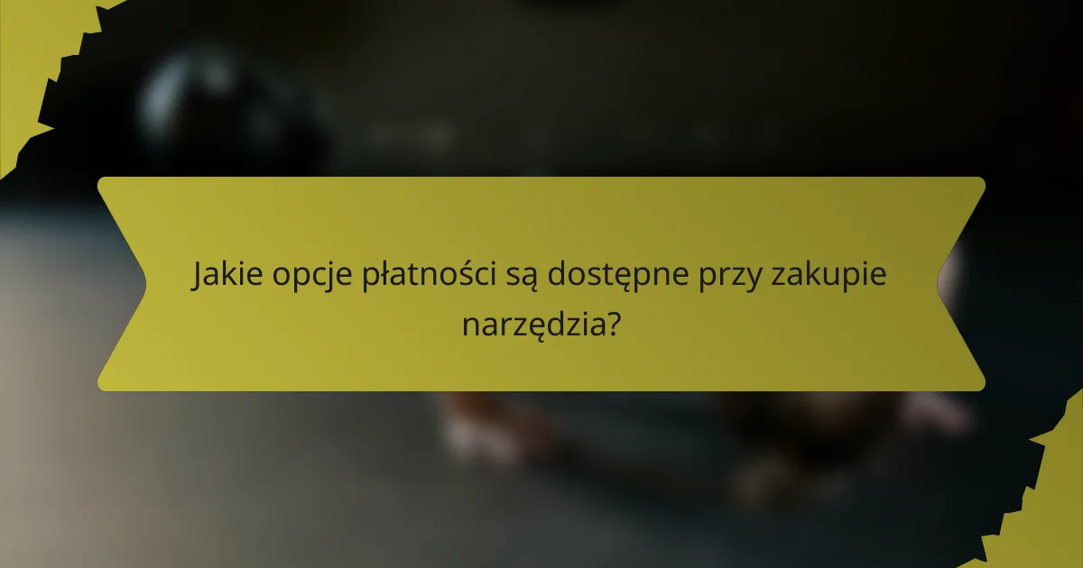 Jakie opcje płatności są dostępne przy zakupie narzędzia?