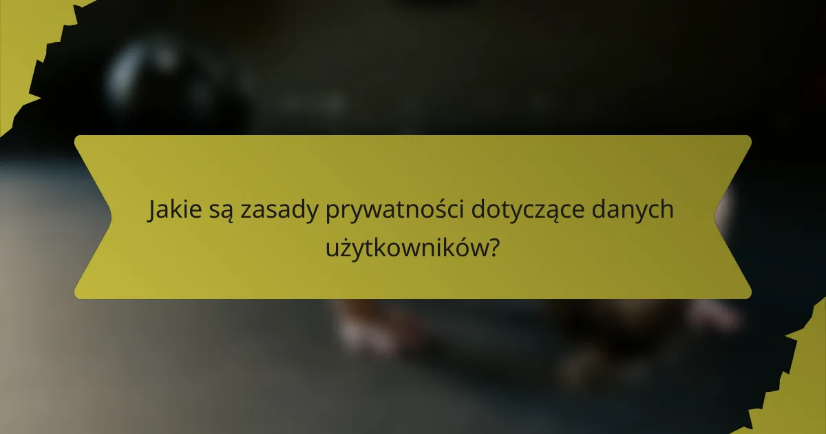 Jakie są zasady prywatności dotyczące danych użytkowników?